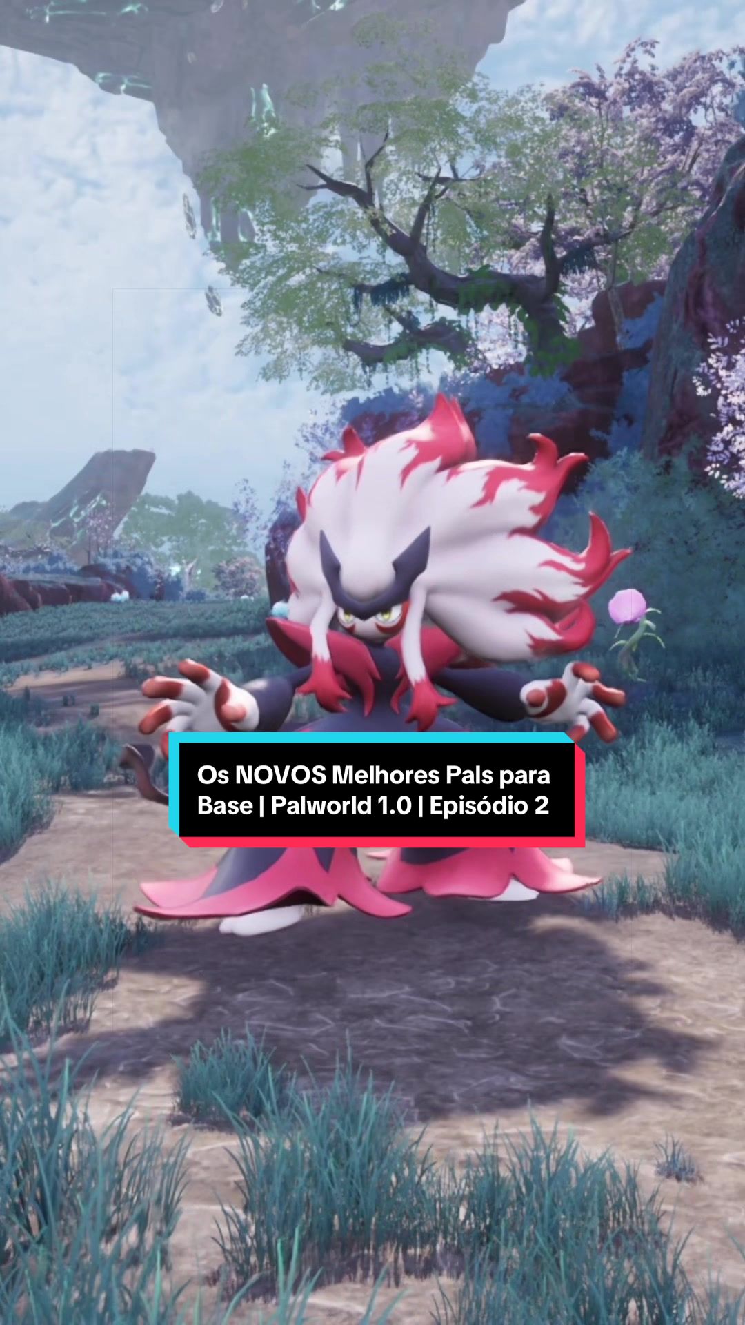 @MrVMaicon