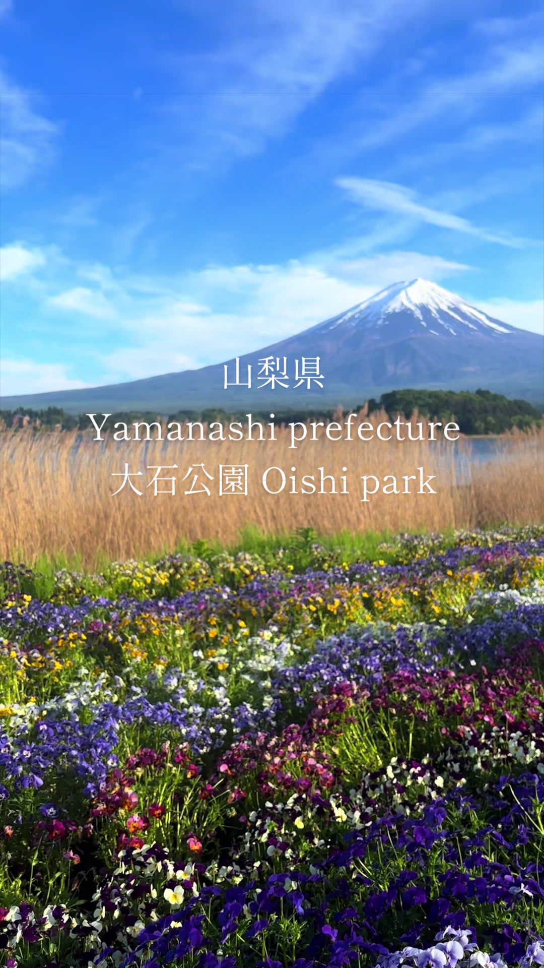 @YU KAN LIFE
