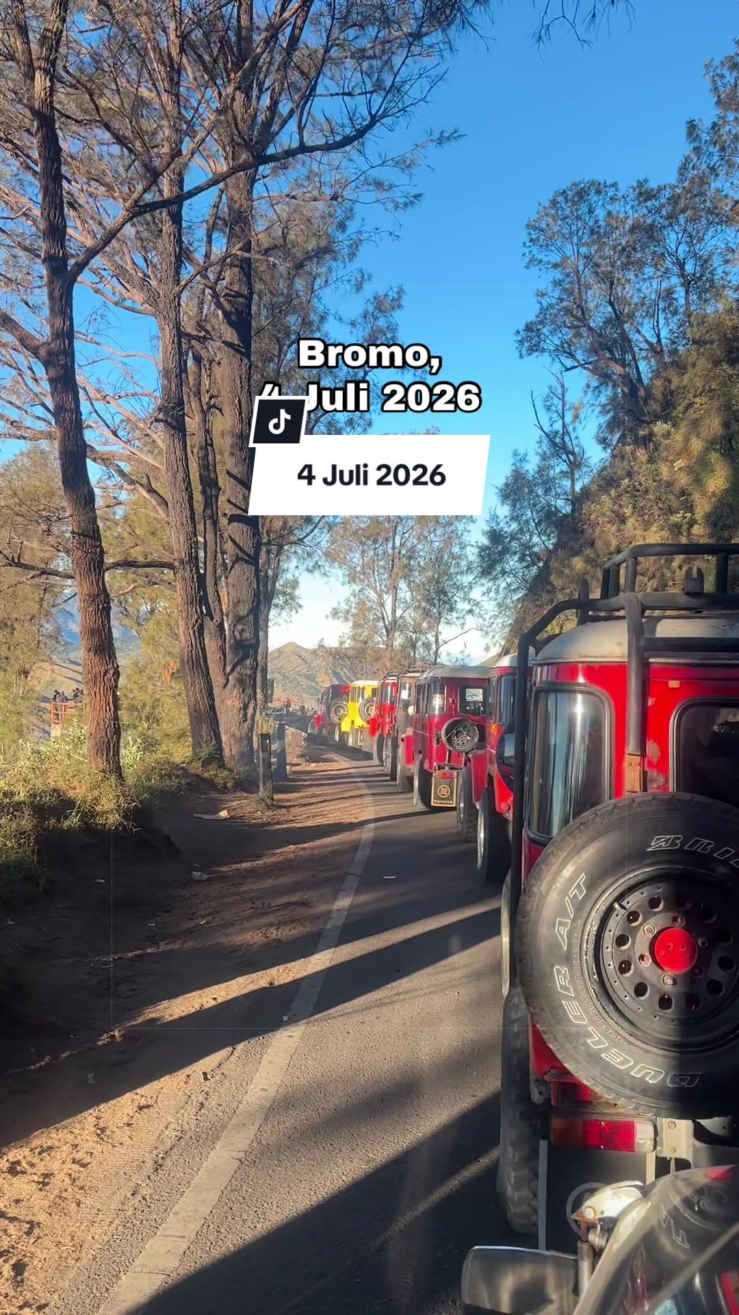 @BROMOPROJECT.ID
