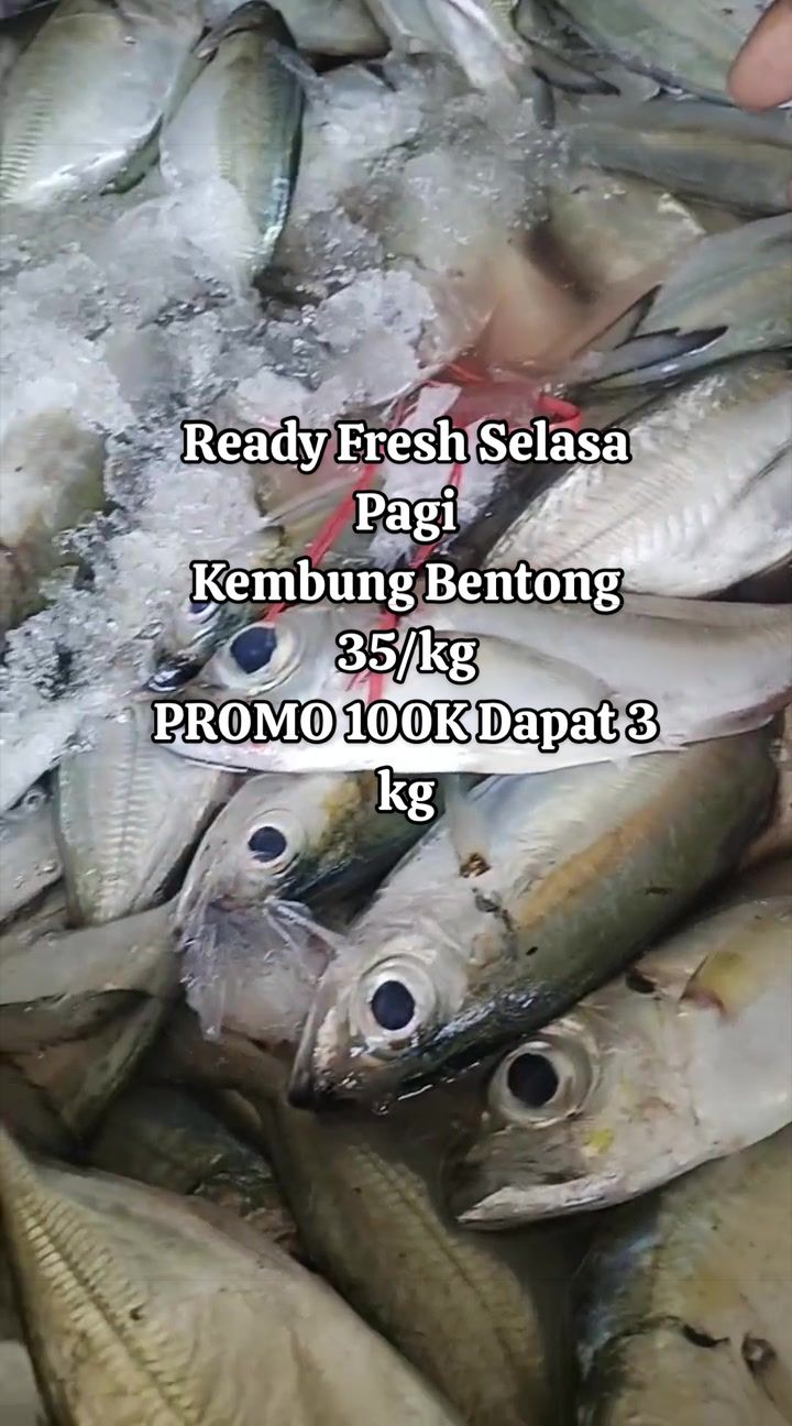 @pesekseafood