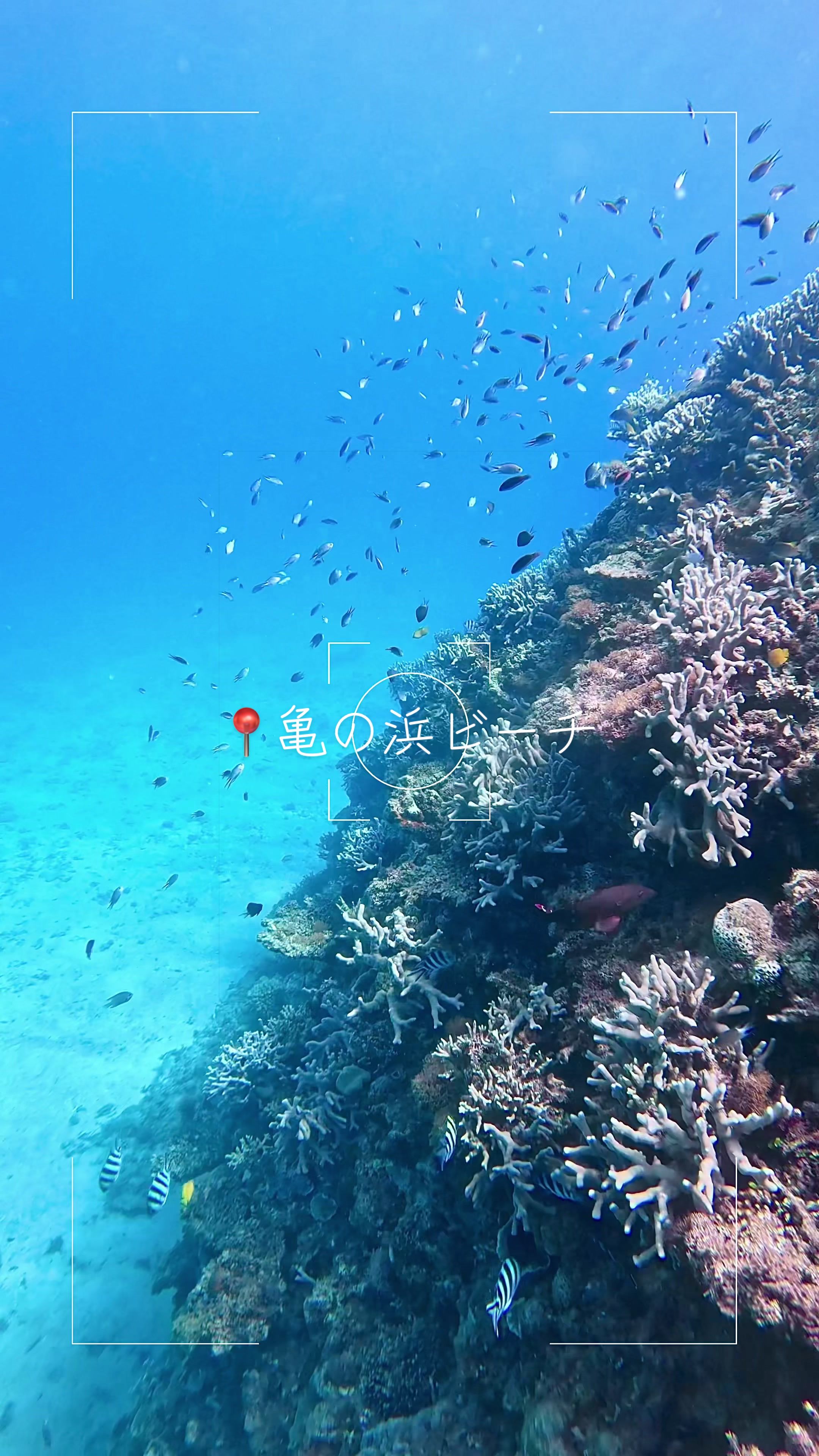 @はっぴー野郎☺︎