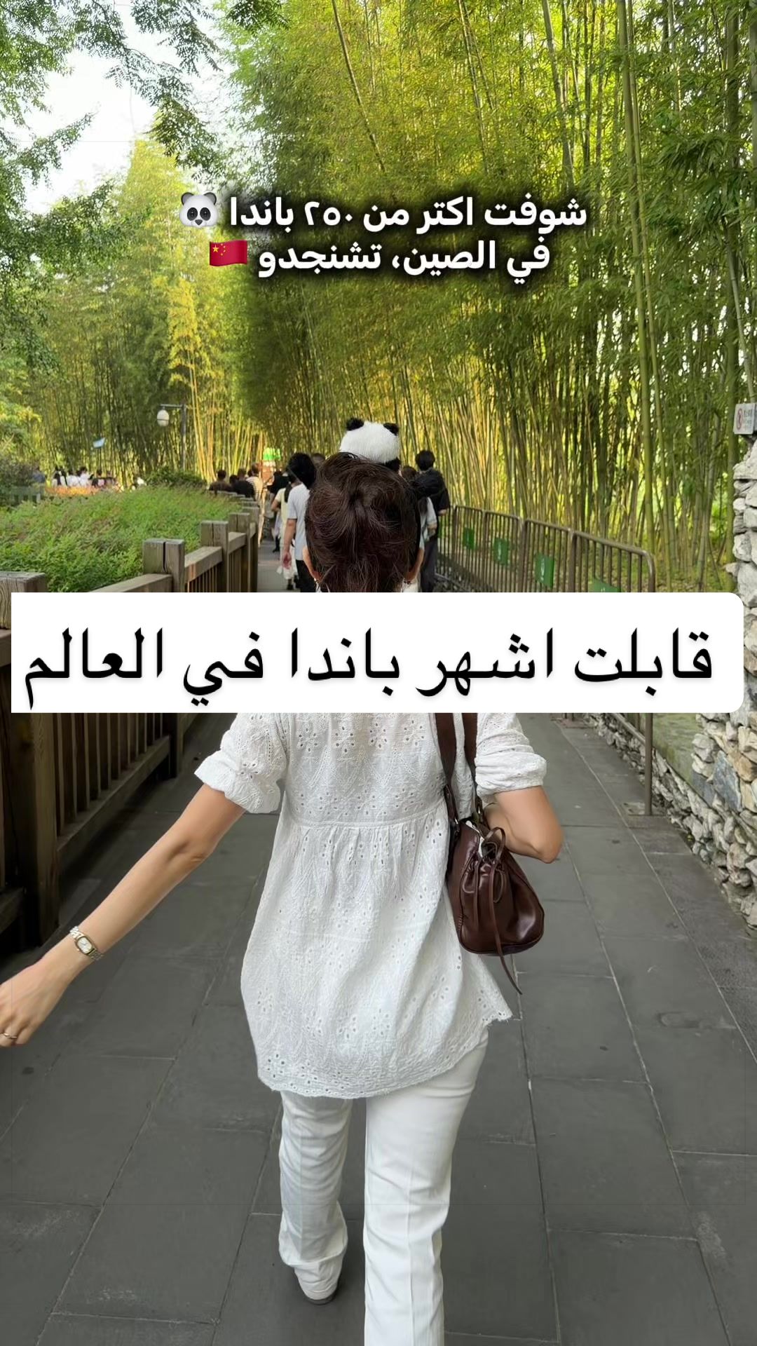 @Amira / 아미라