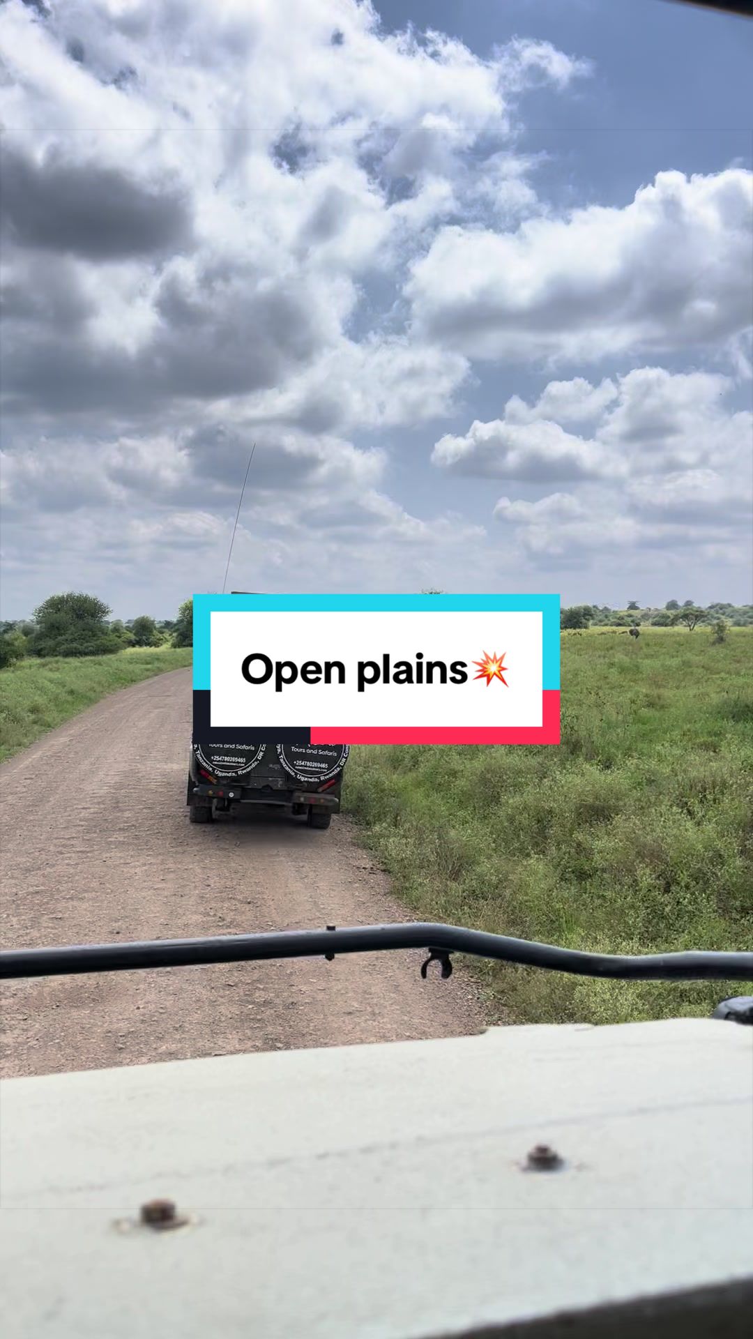 @Milana Tours and Safaris