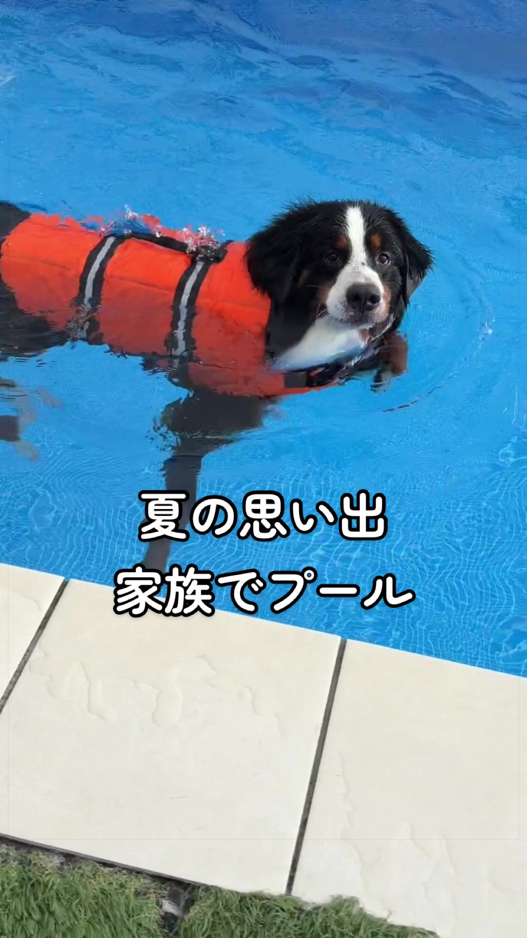 @å¯å£«å±±ð¶ð»ããŒããŒãºããŠã³ãã³ããã° - Fujisan