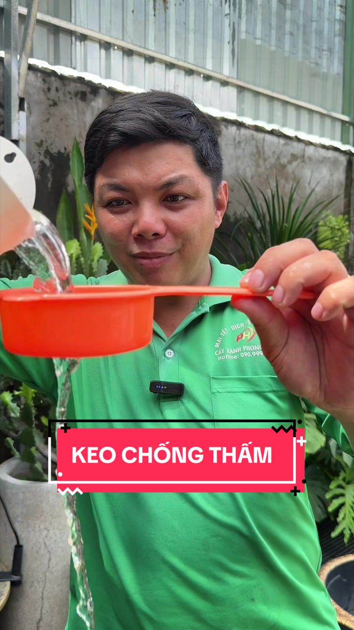 @C&acirc;y Xanh Phong Hồng