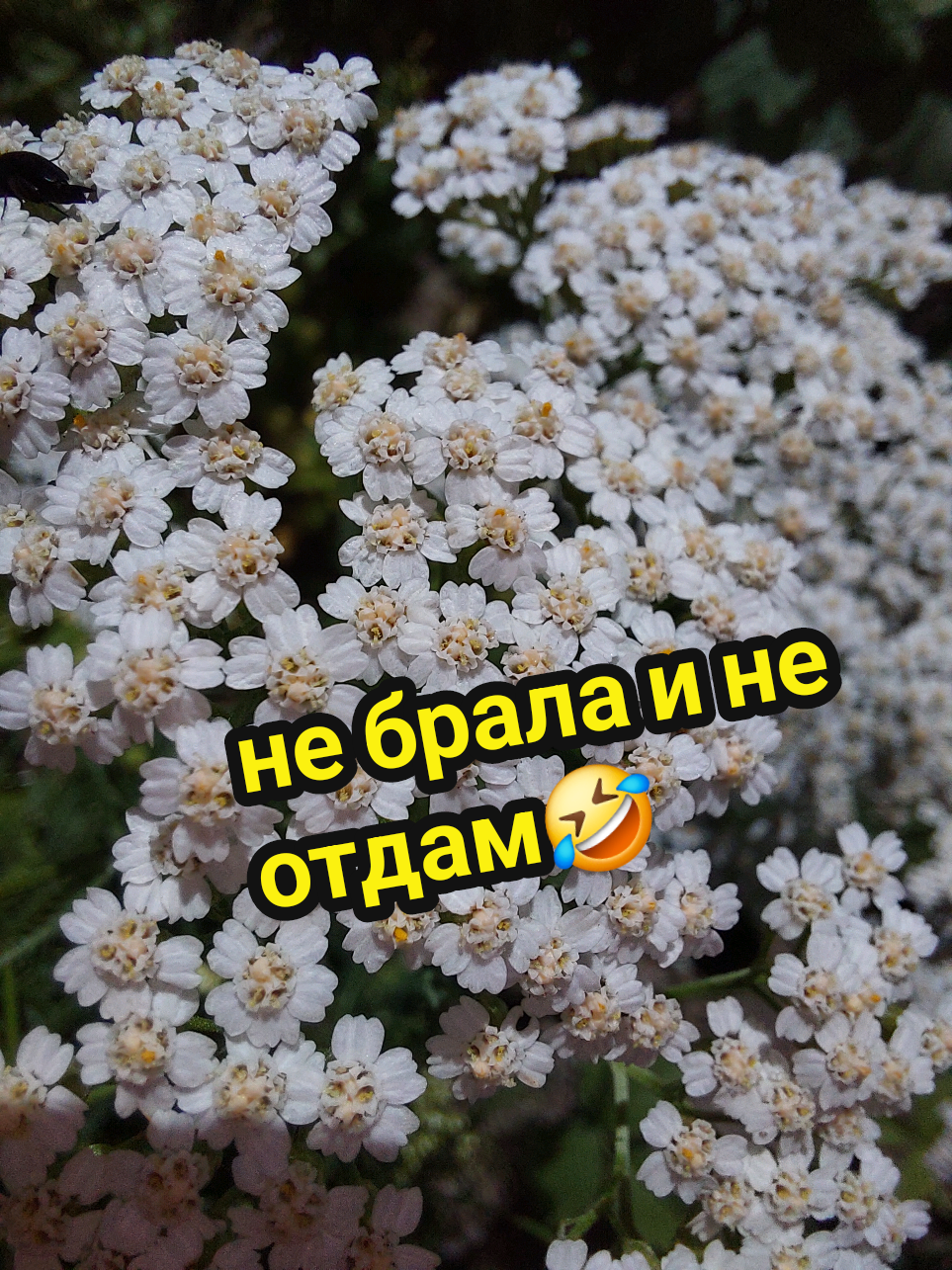 @Рыся✔️🇧🇾