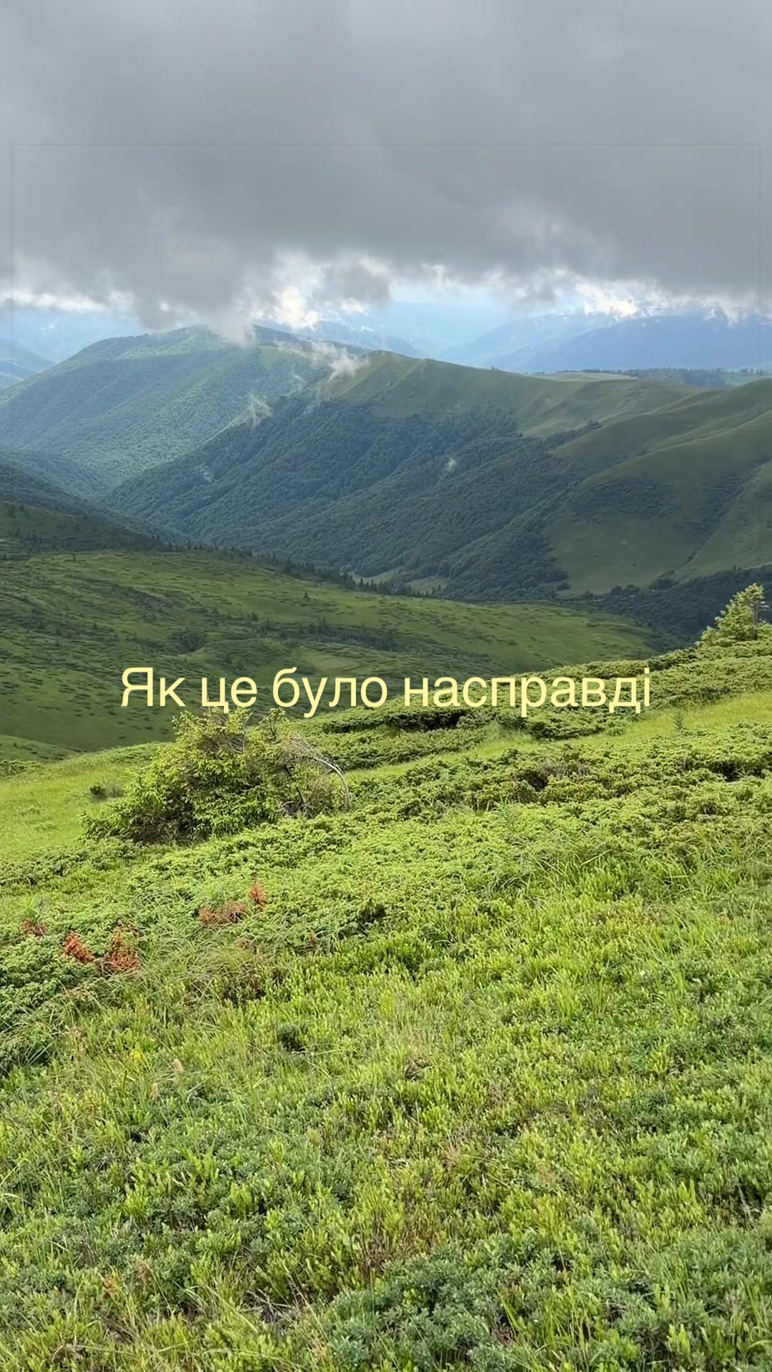 @DubovikY