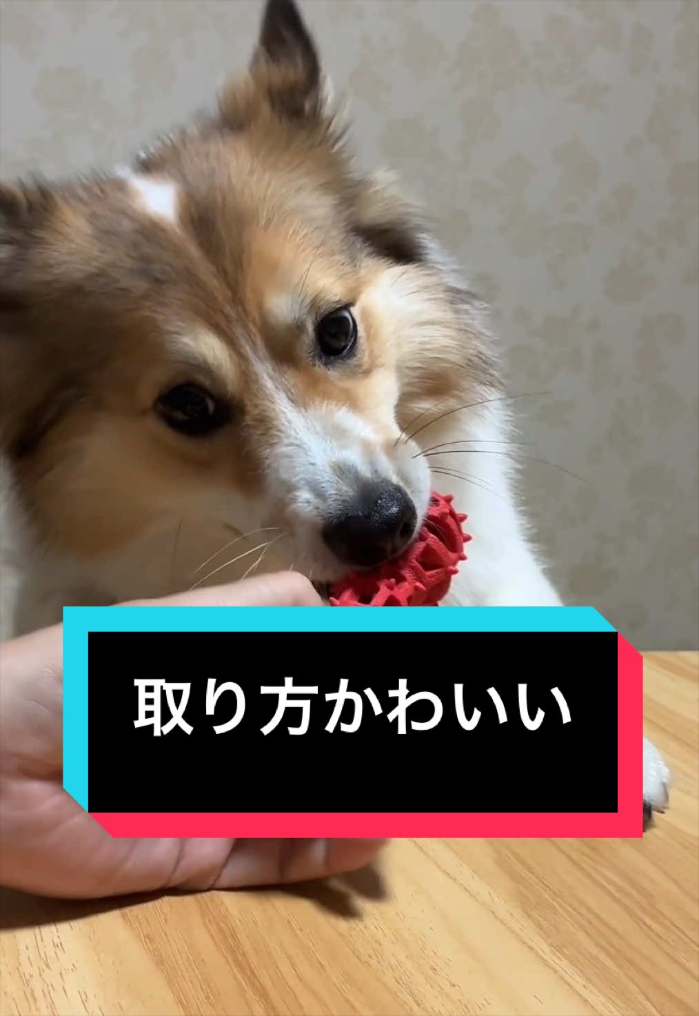 @サクサクビスケット