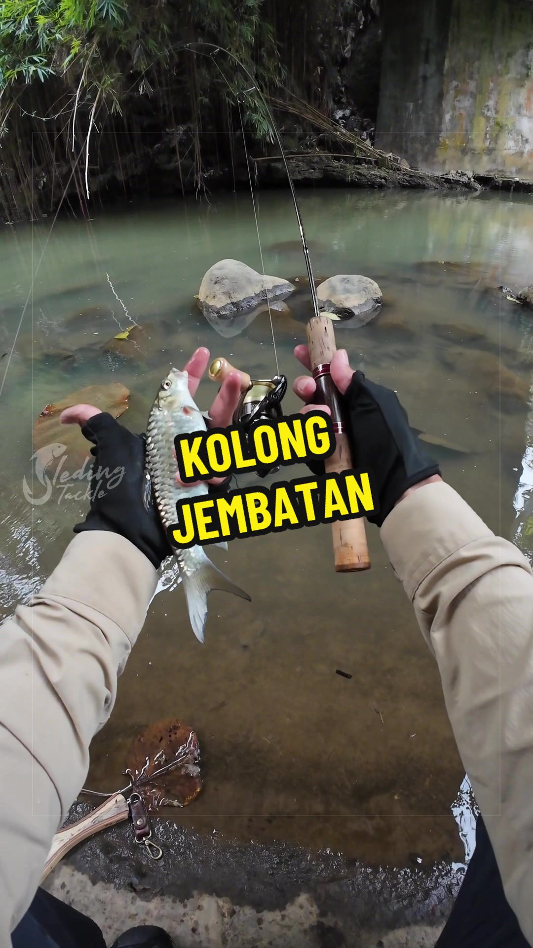 @Sleding Tackle