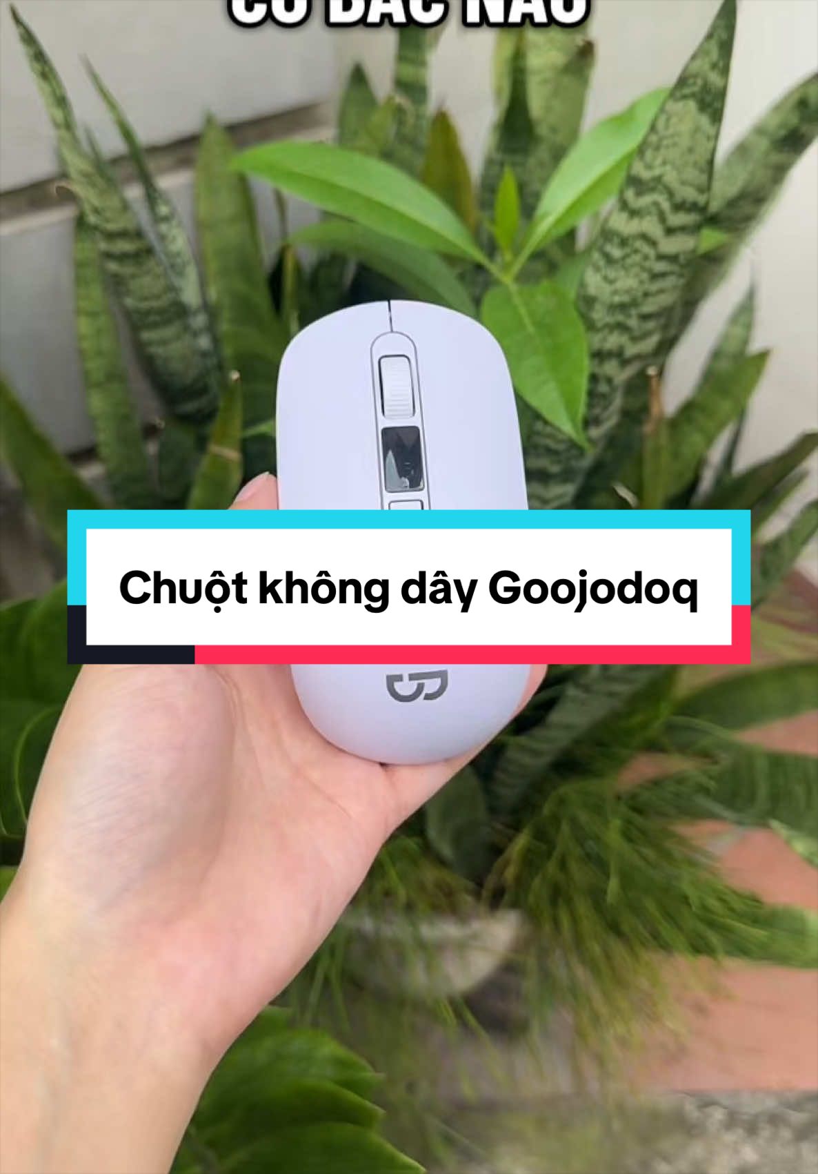 @Tuấn B&igrave;nh Thường