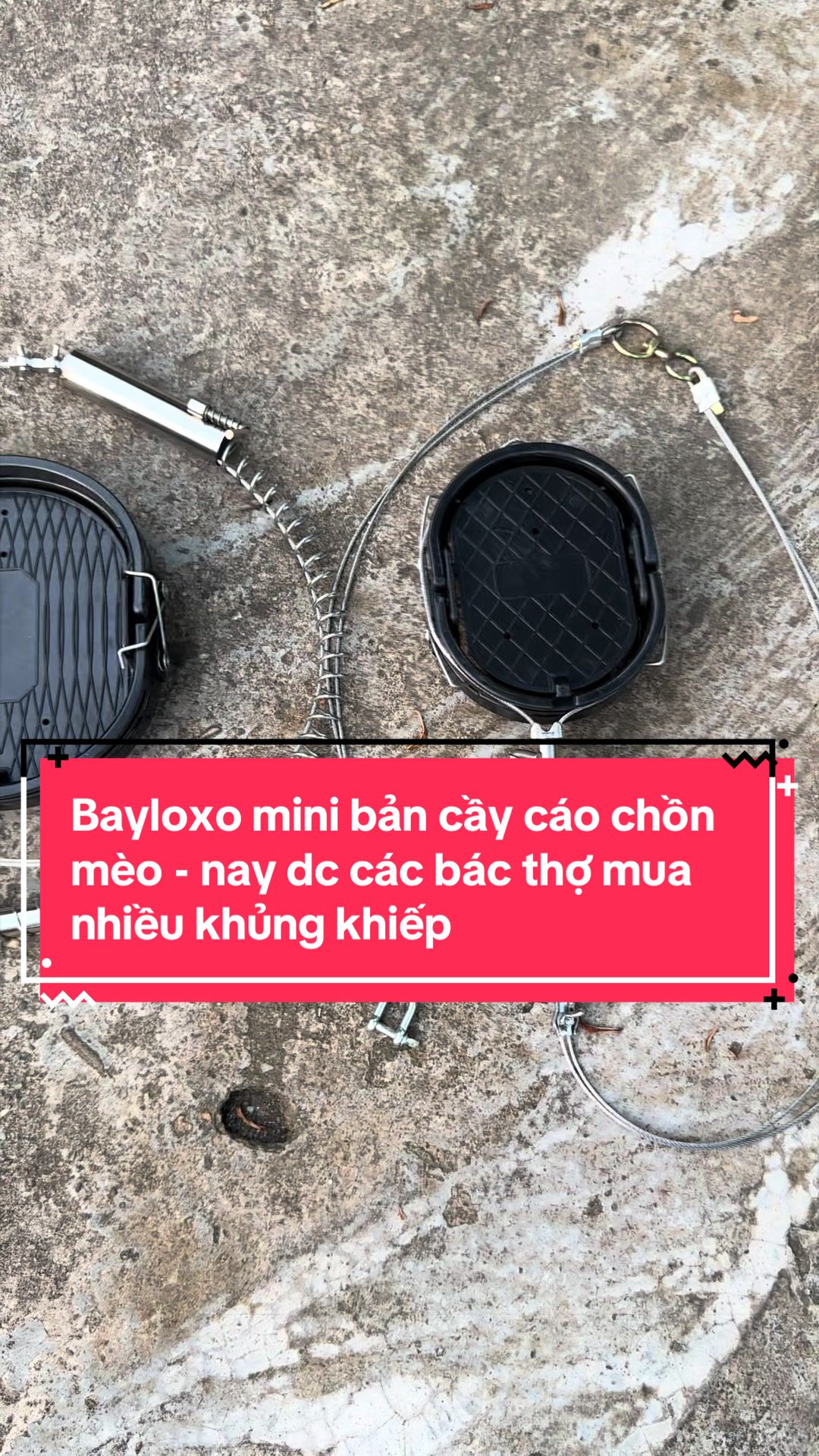 @Bắp store09.69.7,2,2#5,3/6