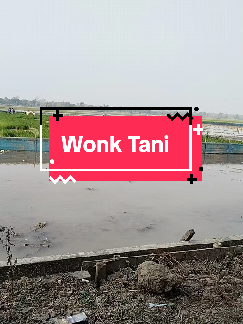 @WONK CEDAL R