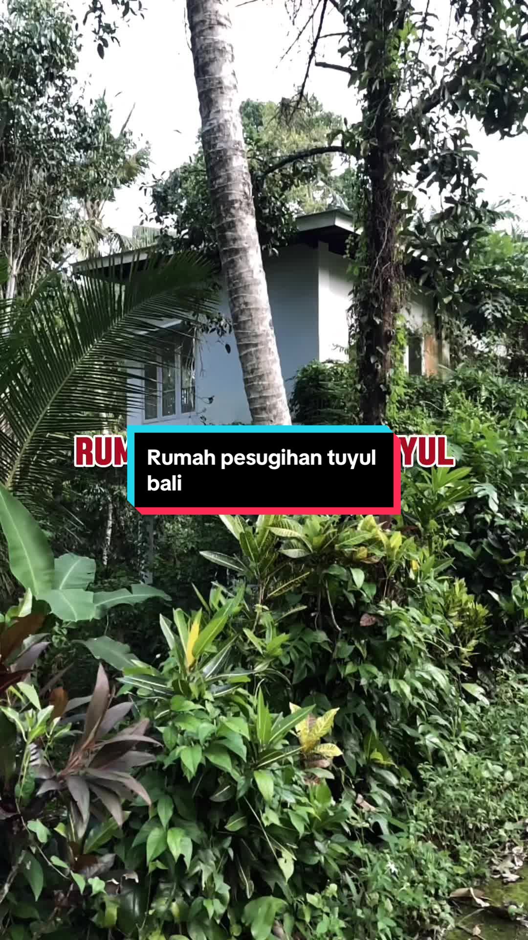 @AKAR MISTERI OFFICIAL