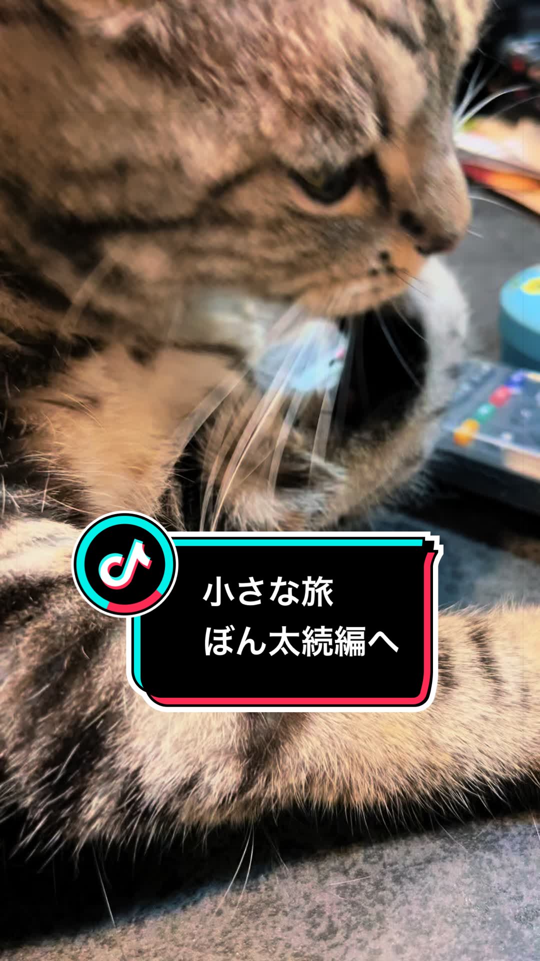 @稲荷弥勒