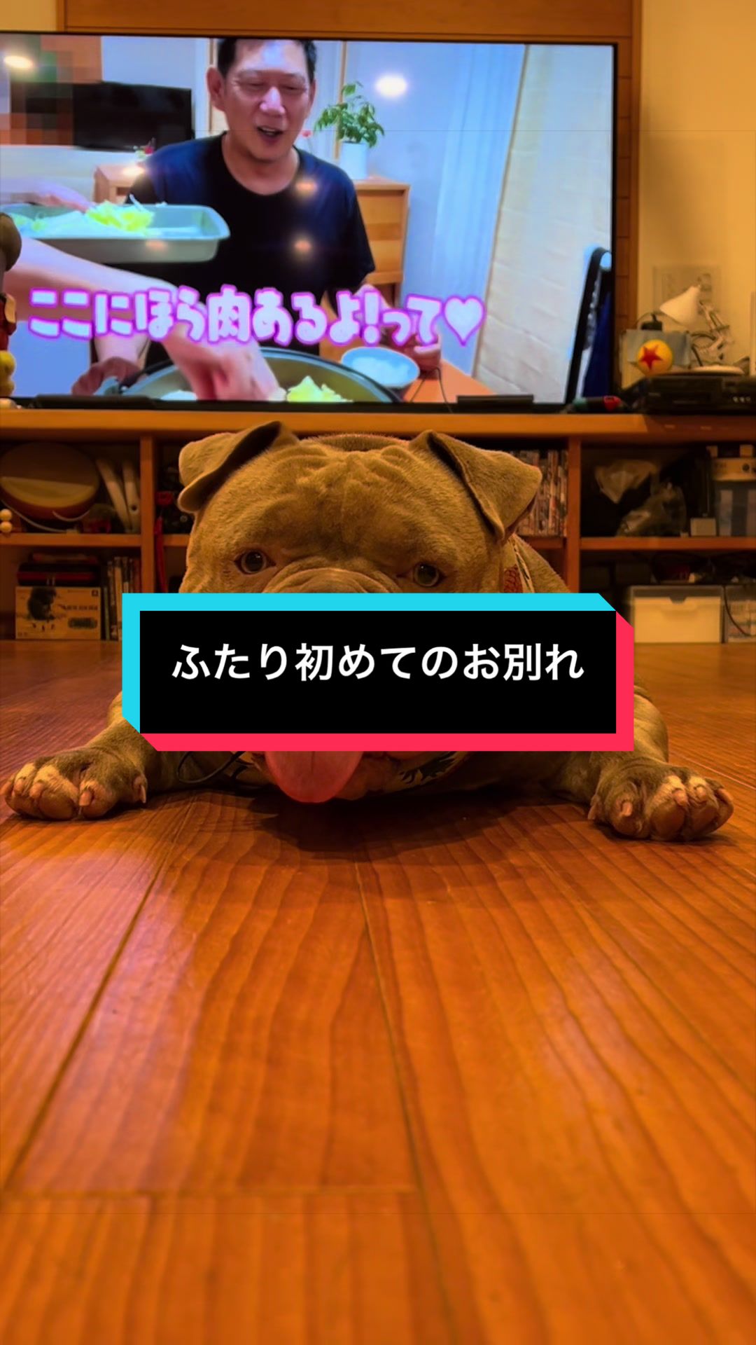 @r.papa.8059
