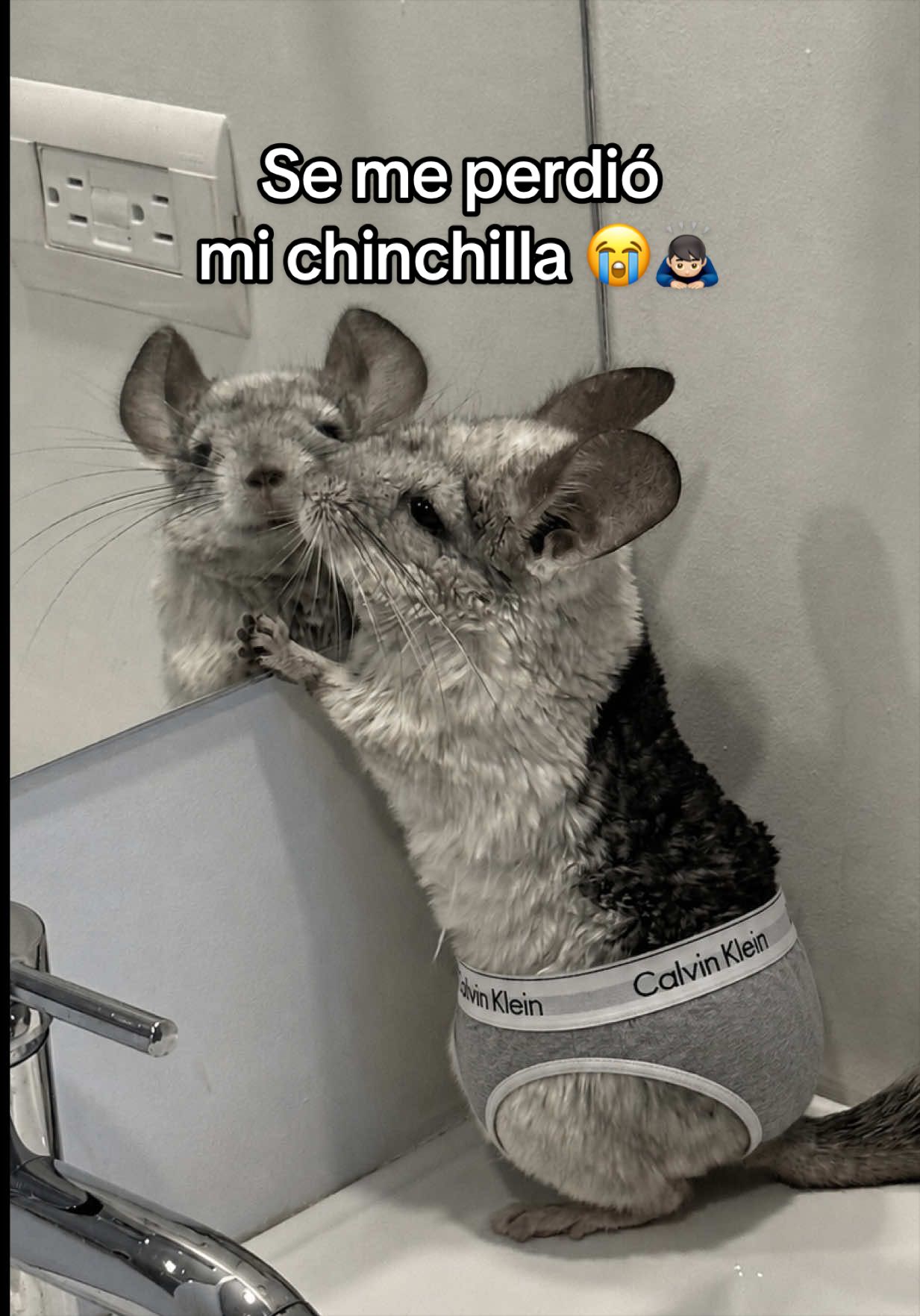 @Creador del exito