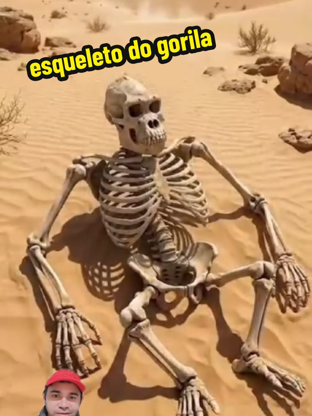 @GOROROBA 2026