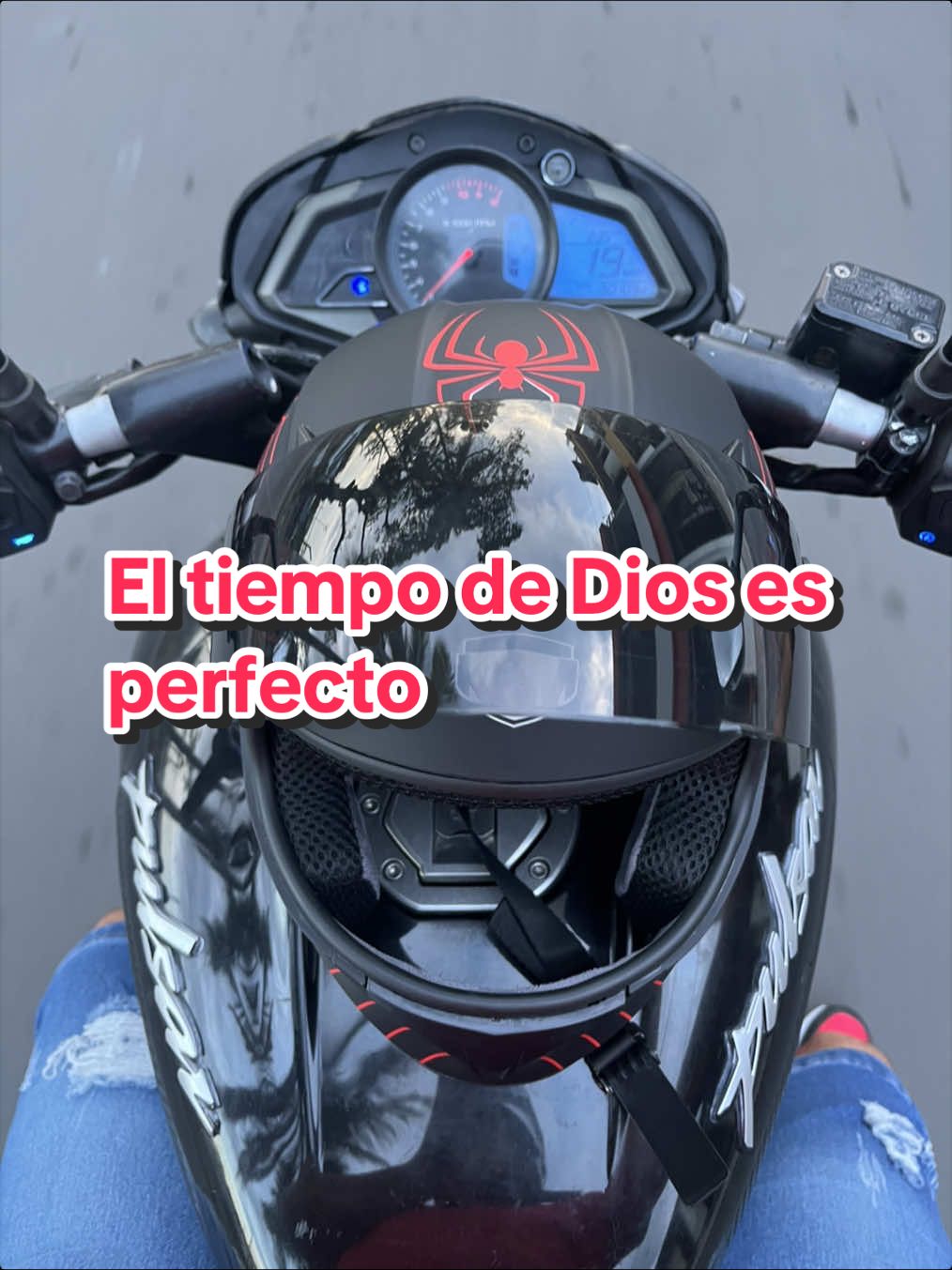 @elmagnatedelospollos