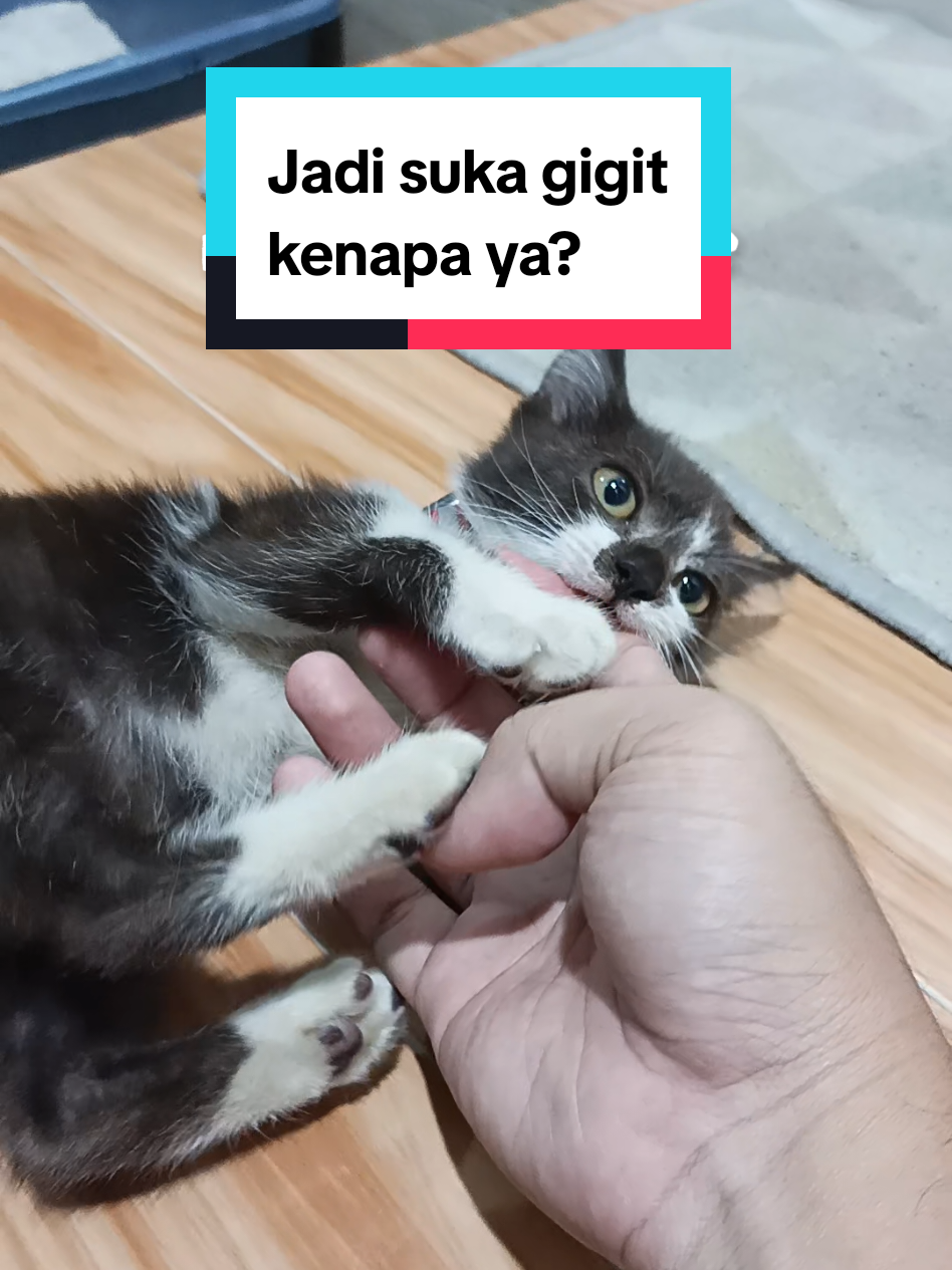 @Ontran