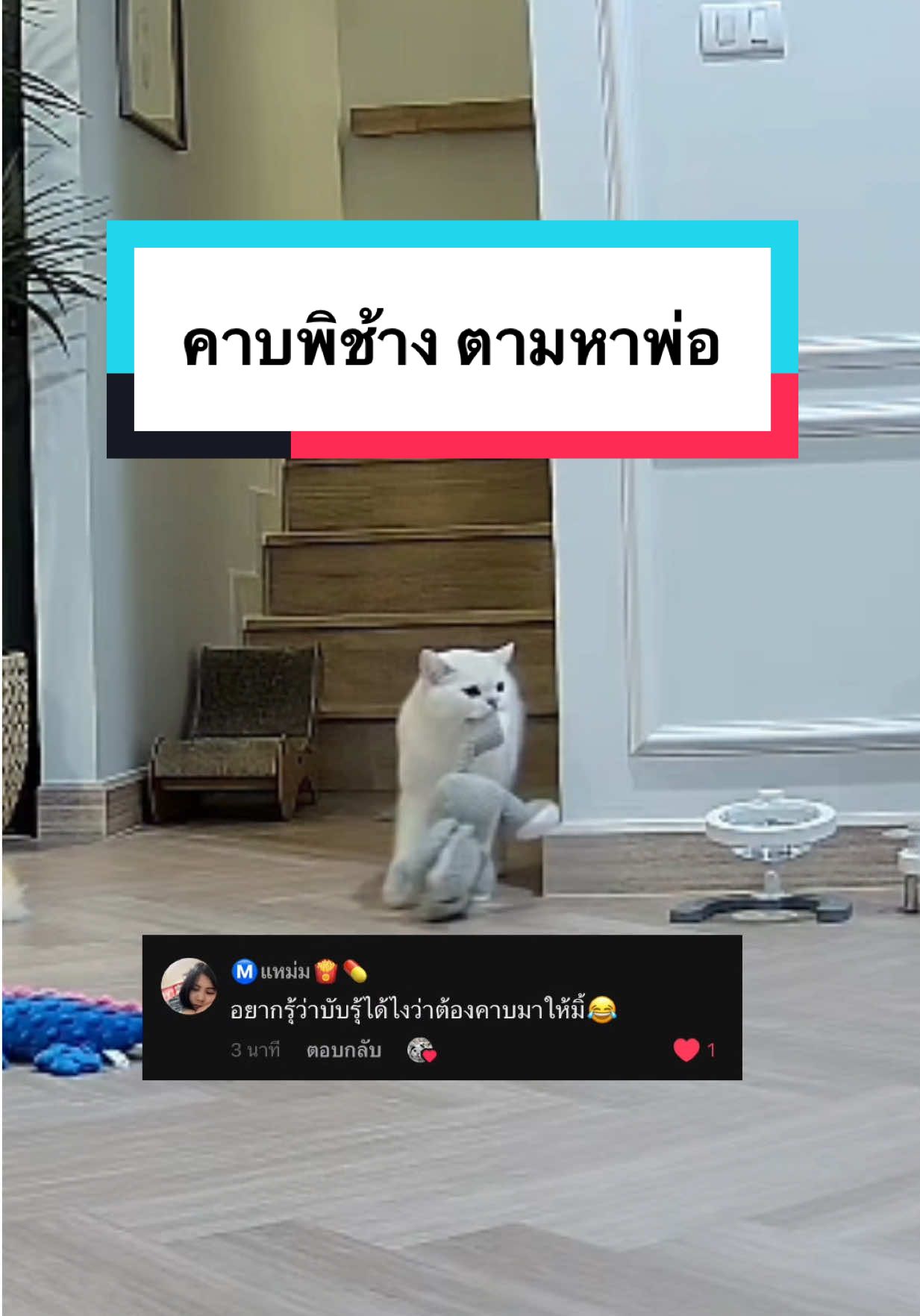 @คิมบับครับผม