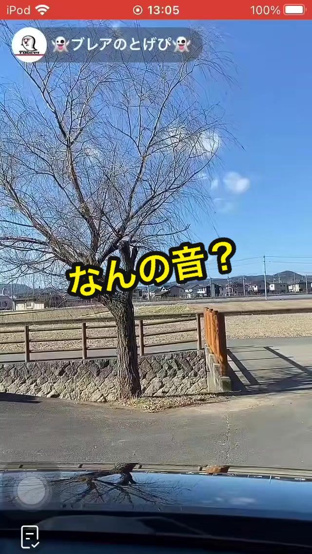 @👻ブレアのとげぴ👻