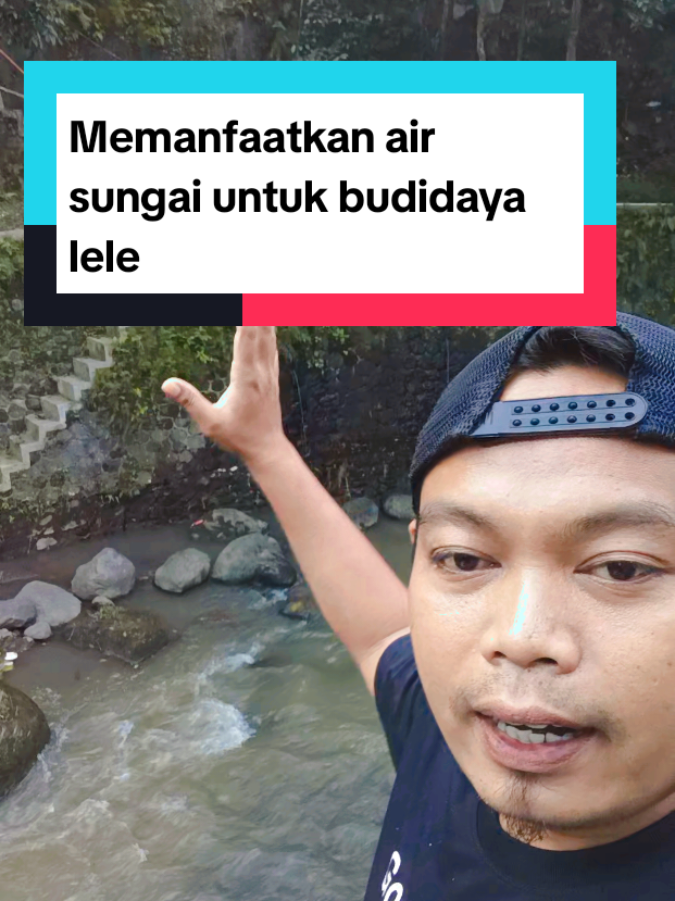 @Kang_Ewi