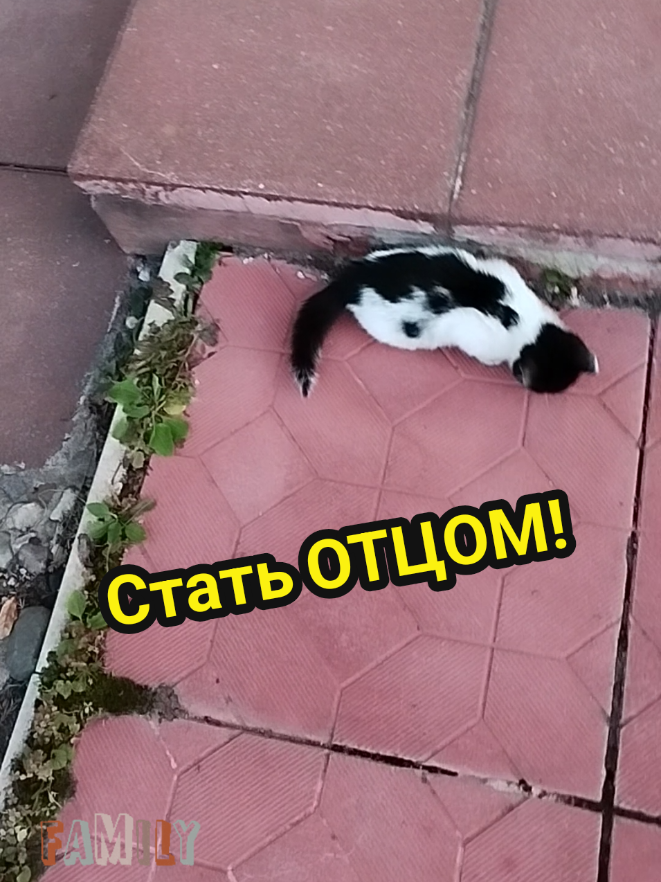 @IRINA