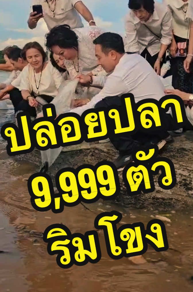 @DanaiChanchaochai