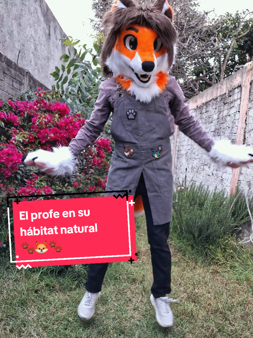 @Becobeza