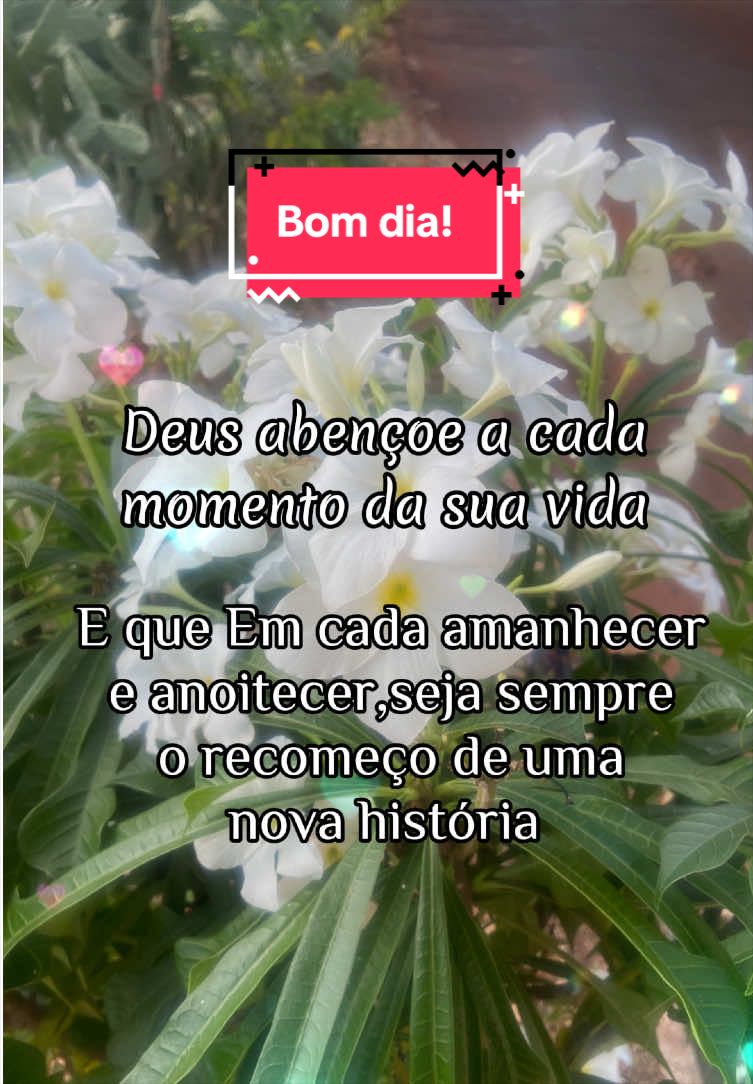 @Sandra Nunes