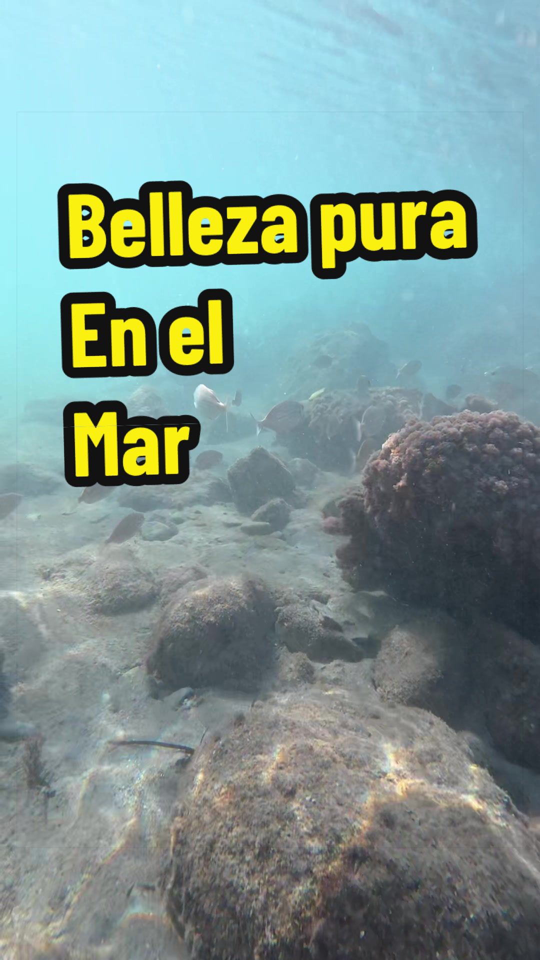 @Colombia Nature Places