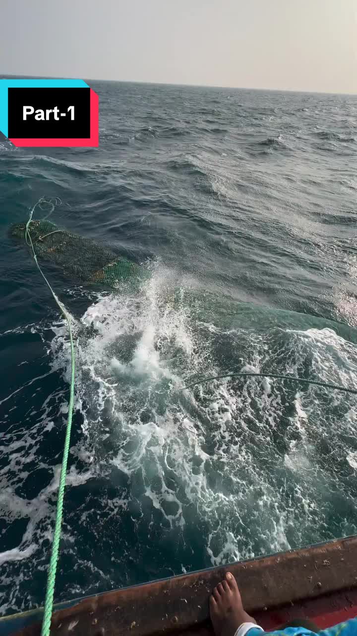 @Thenkadal meenavan 🐟