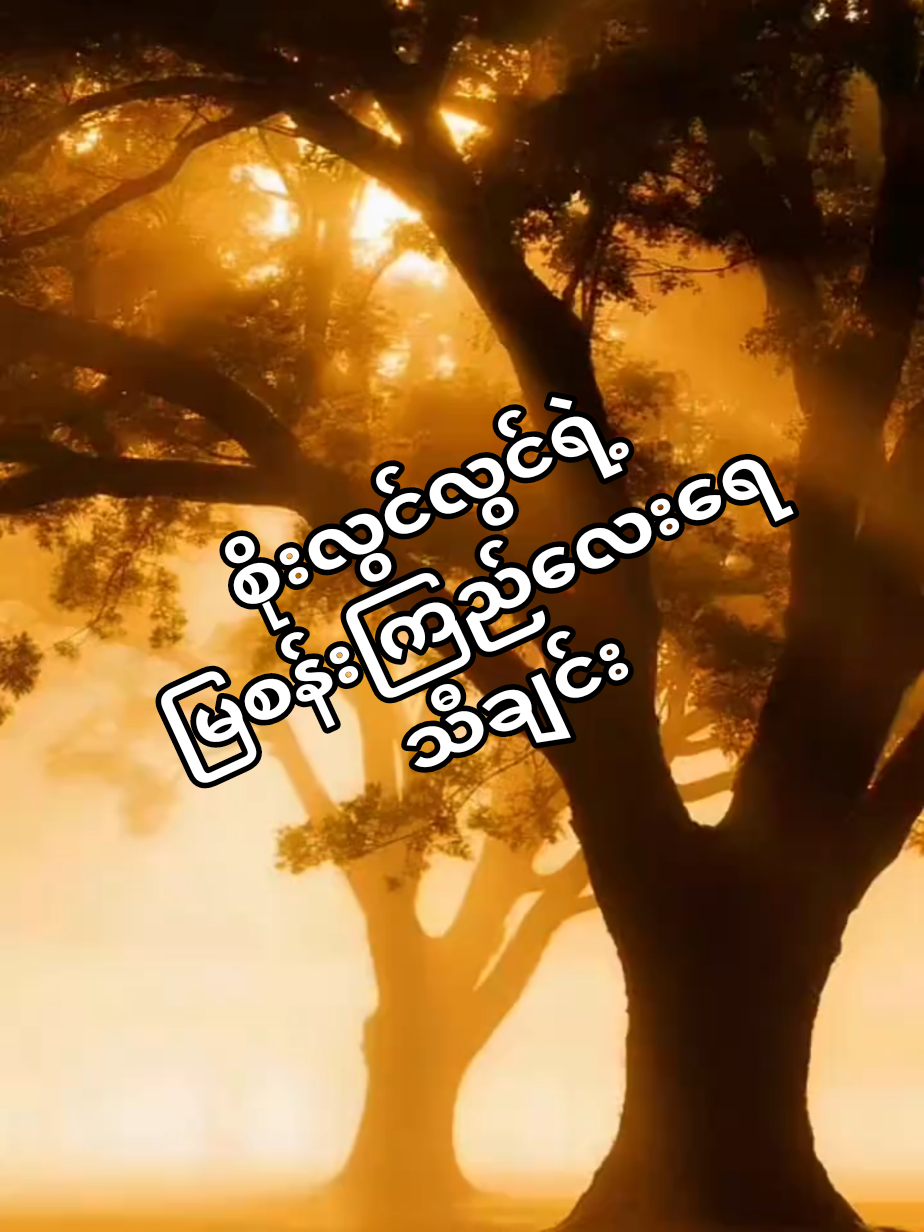 @pokydar