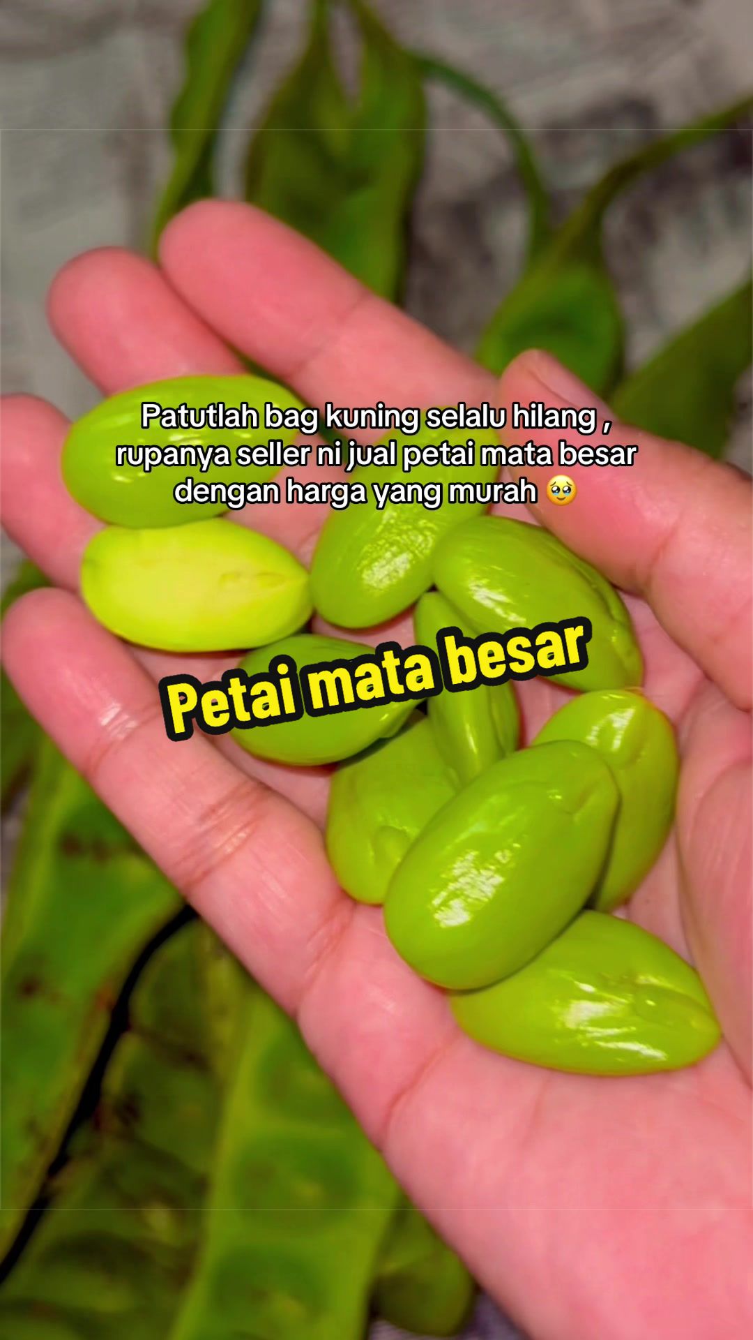 @𝐓𝐄𝐄𝐊𝐀𝐇