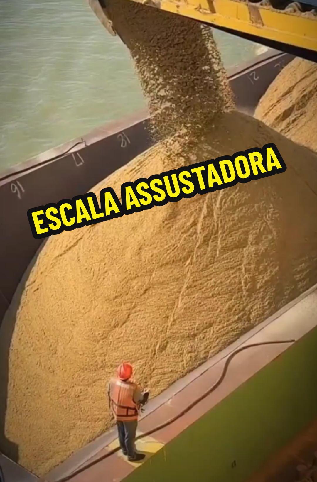@RAIZ DO SABER