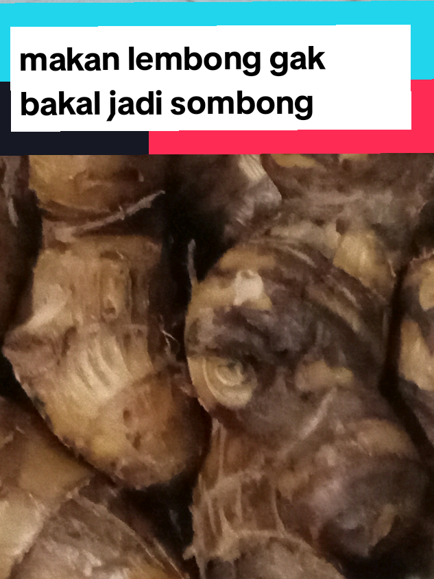 @tukik 🐢
