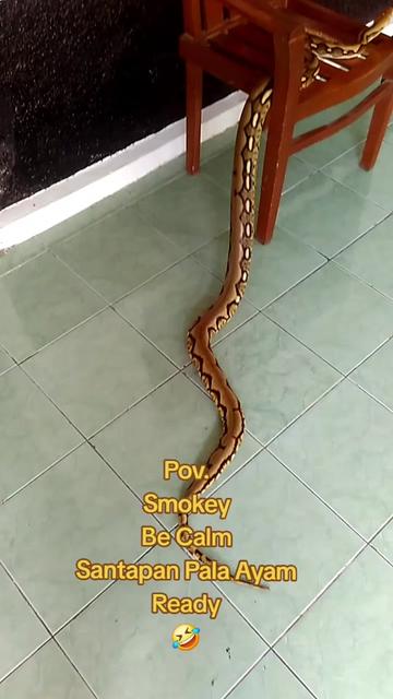 @Thus666