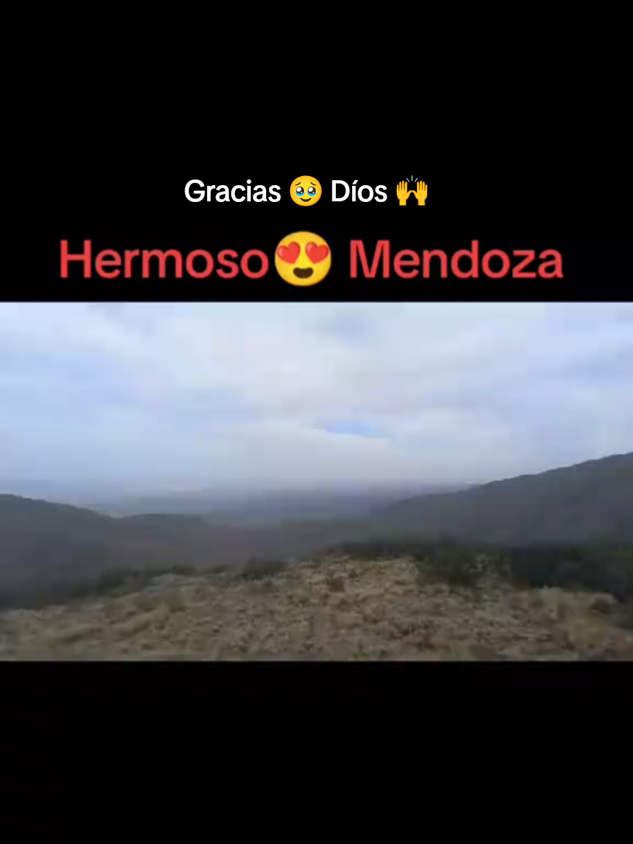@Alee.legui