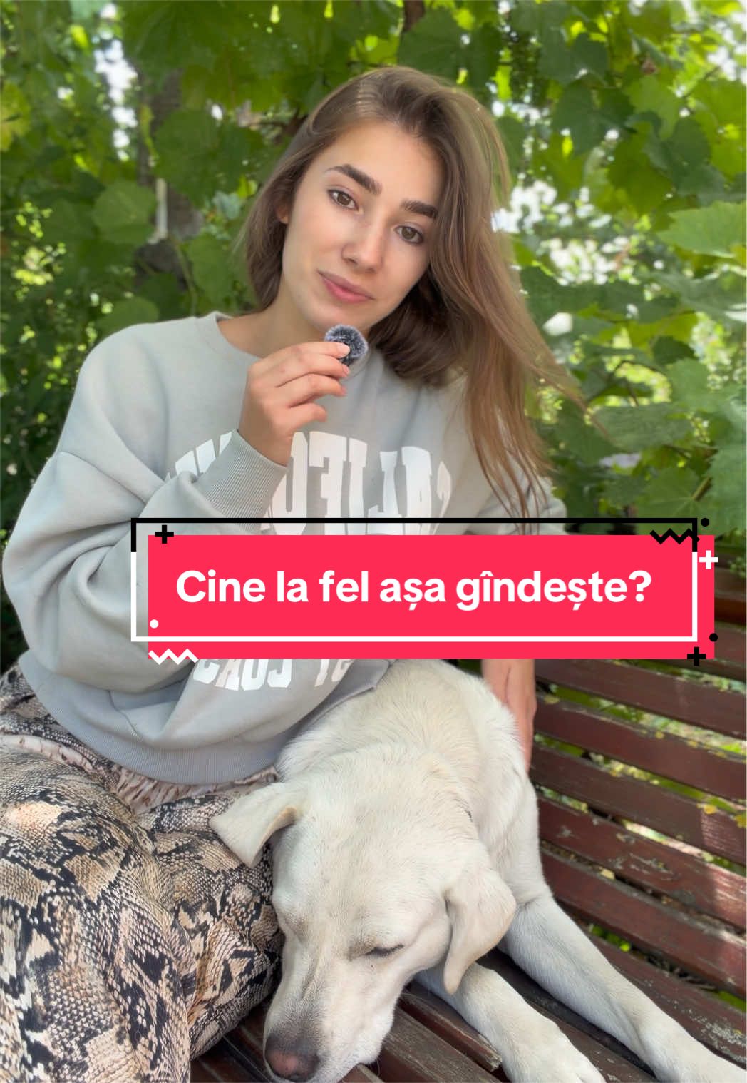 @Larisa🐾Taison