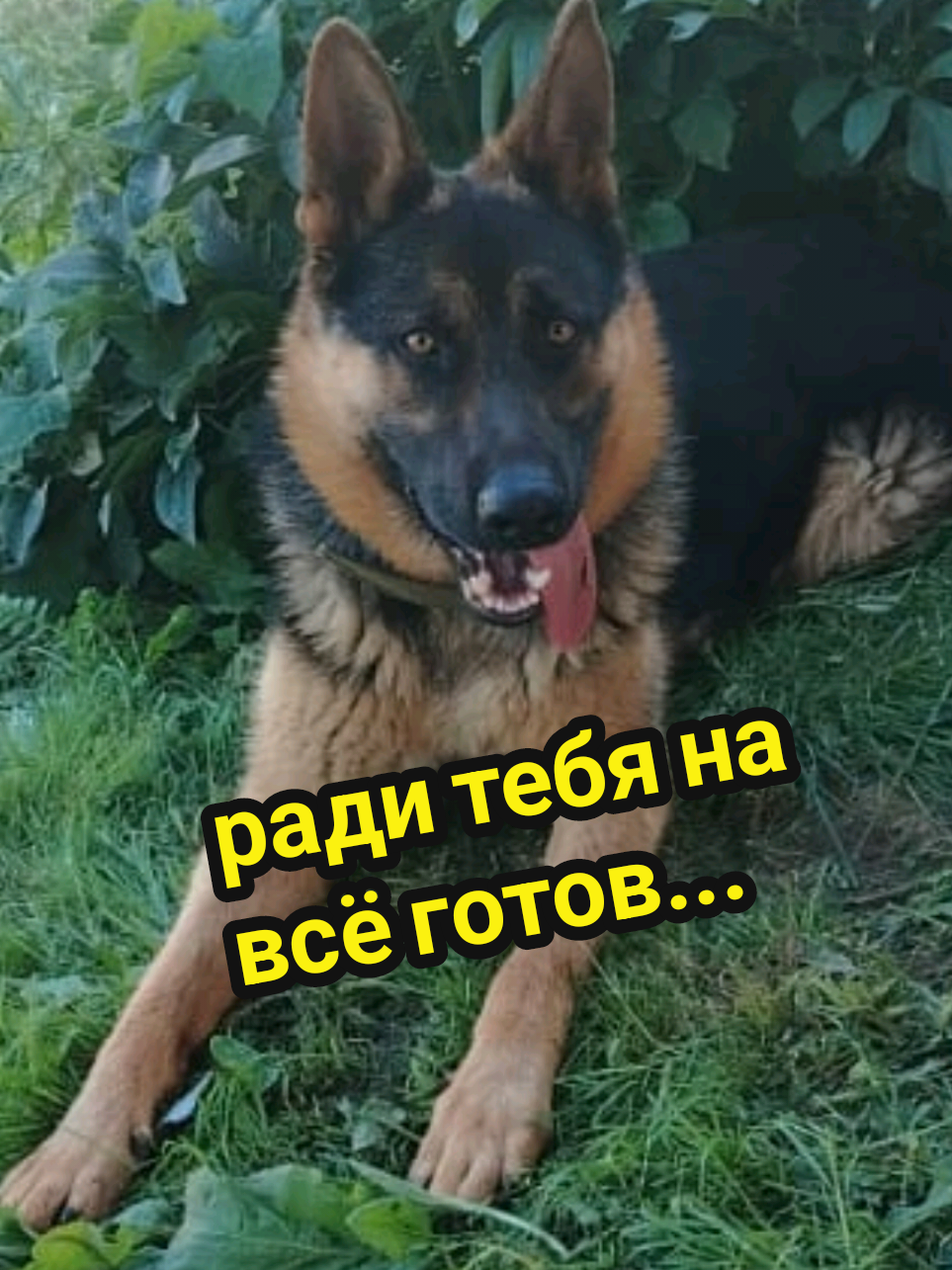 @Рыся✔️🇧🇾
