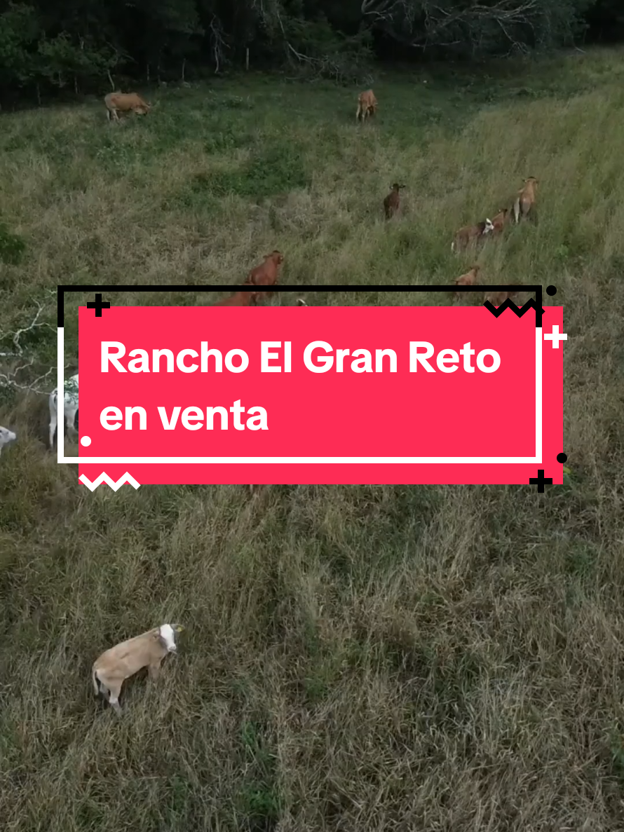 @Jose Chein - Bienes Raices