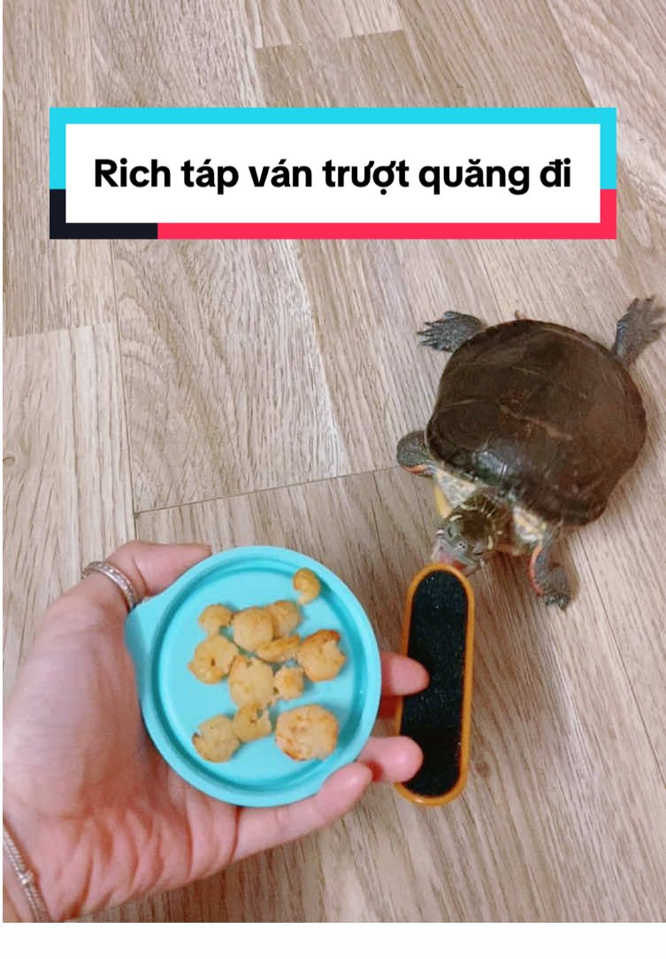 @Nh&agrave; c&oacute; r&ugrave;a v&agrave; ch&oacute;