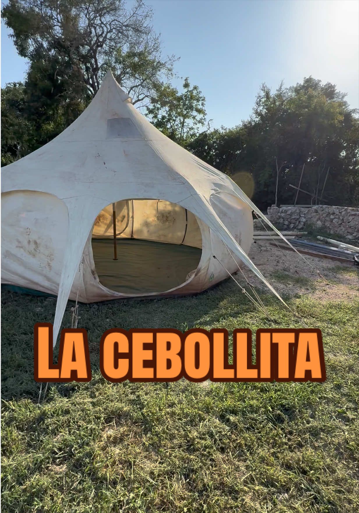 @José Ramón Medina