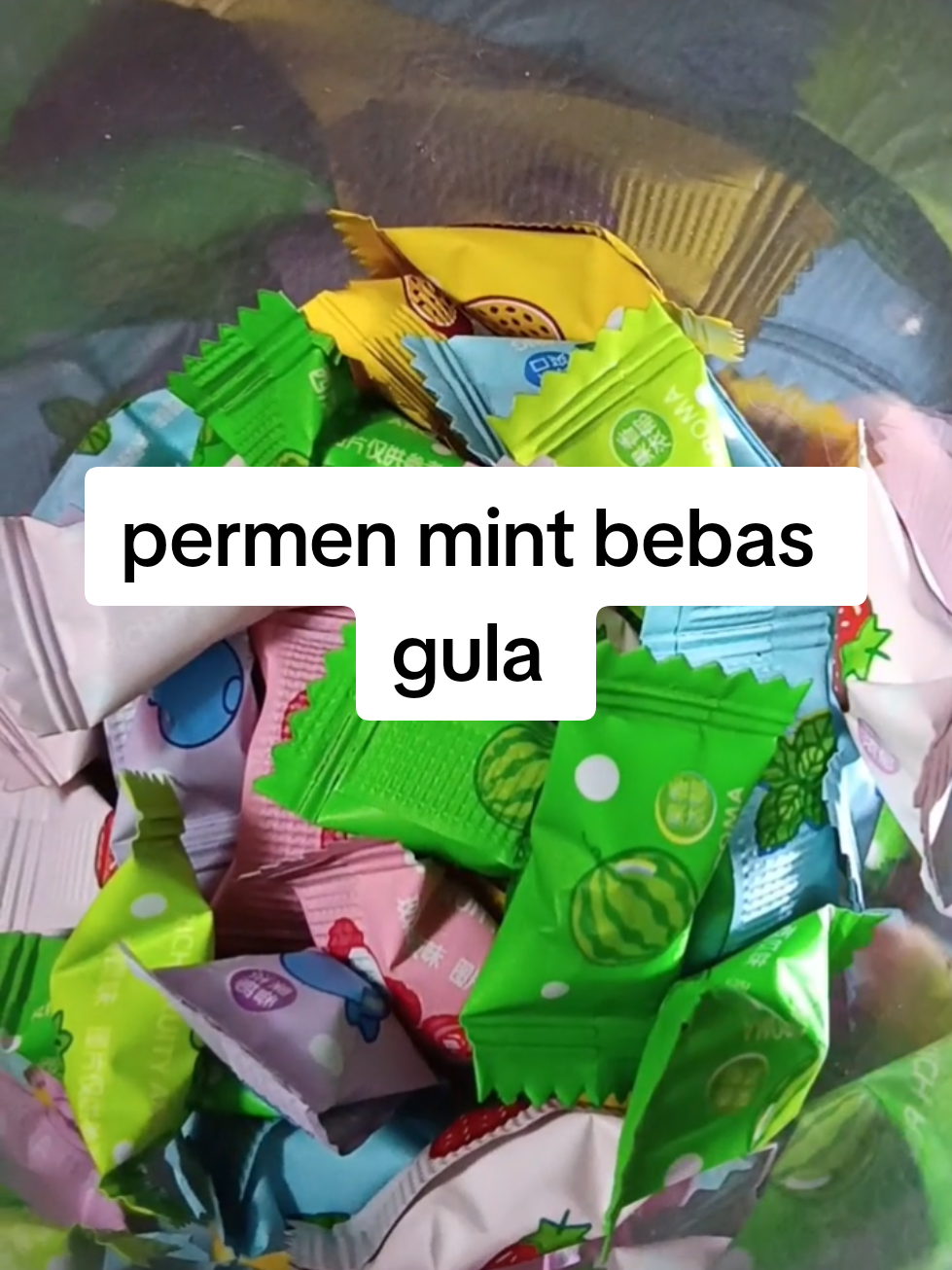 @zellaycel02