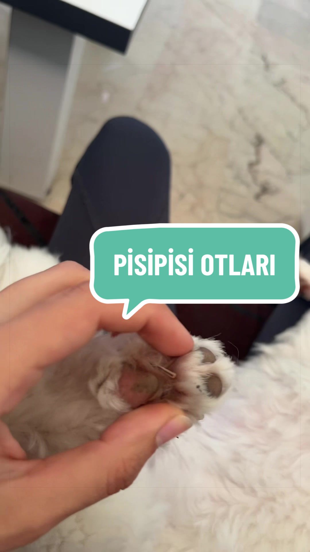 @Beyza🐾