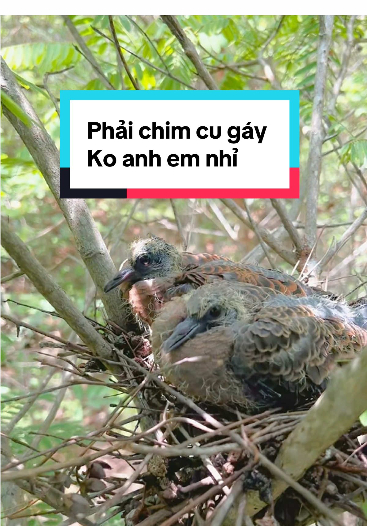 @C&C Miền N&uacute;i ⛰️