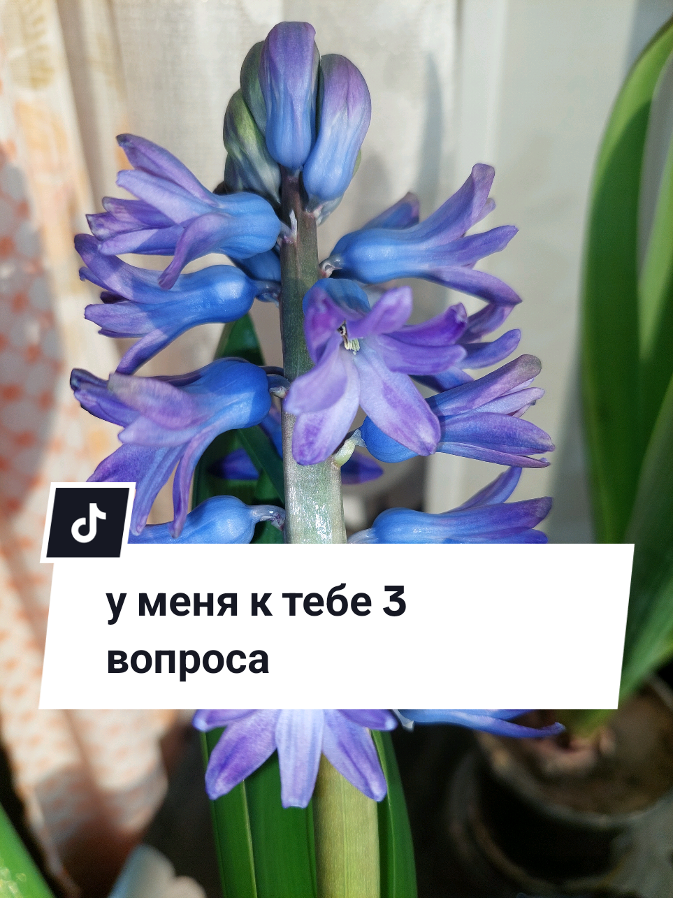 @Рыся✔️🇧🇾