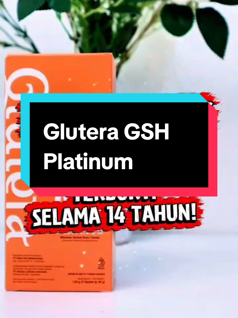 @Agen Resmi Glutera