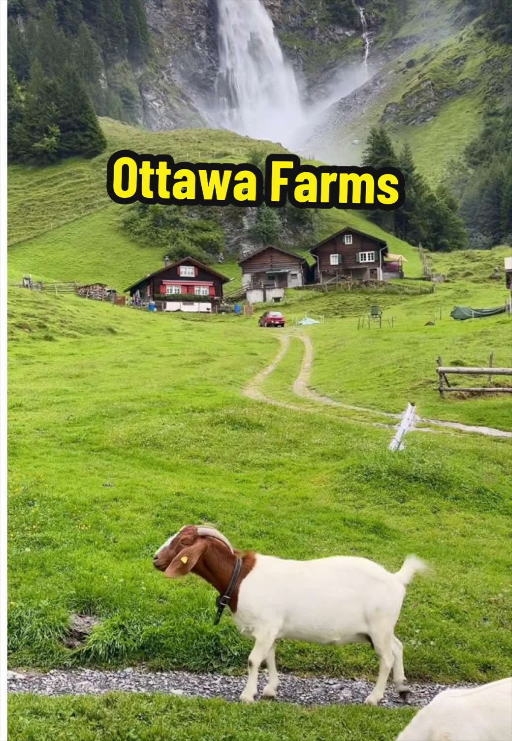 @Rasouli Reports 🇨🇦