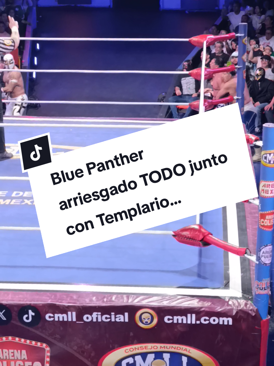 @Damas&Gladiadores Lucha Libre